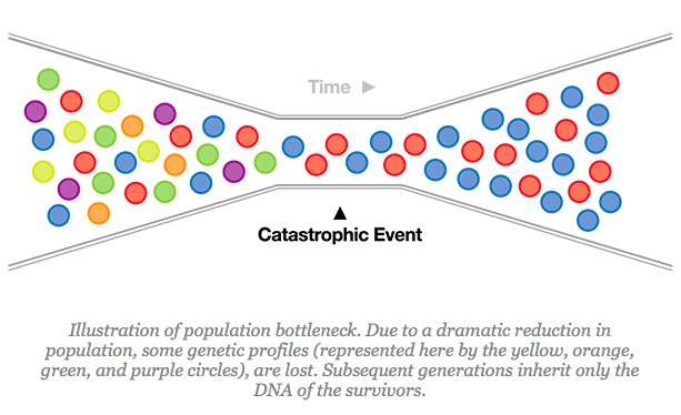 Description: Illustration of population bottleneck
